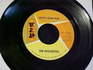 The UNDERDOGS Love's Gone Bad / Mo Jo Hanna NORTHERN SOUL/MOD GARAGE 45 VIP Hear