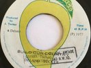 DELANO TUCKER Build Our Country Socialist Dub MANGO RDT2176 1977 EX- Slaving Cut