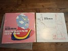 Rare Vinyl The Bees Sunshine Hit Me Record 2001