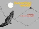 HOWLIN WOLF: MOANIN IN THE MOONLIGHT (LP vinyl *BRAND NEW*.)