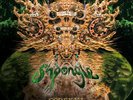Shpongle - Codex VI (GREEN VINYl) Ltd 500 copies   (3 x LP)