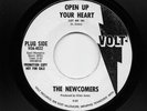 Newcomers - Open Up Your Heart / Girl This Boy Loves You (Soul, 45) 4022