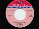 Lee Rogers - Cracked Up Over You / How Are You Fixed For Love (Soul, 45) 118