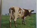 PINK FLOYD - Atom Heart Mother - Original UK LP - Harvest NO EMI Prog Psych