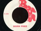 Michael Rose - Born Free UK Boss 7