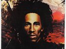Bob Marley & The Wailers - Natty Dread LP - Island
