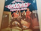 THE FLAMIN' GROOVIES-TEENAGE HEAD DOUBLE LP COMPILATION  (WITH FLAMINGO LP)