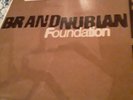 BRAND NUBIAN - FOUNDATION (VINYL 2LP)  1998  COMMON + DJ PREMIER. NEW Mint