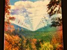 Innerspeaker by Tame Impala 2 x LP on Black Vinyl 1st Press Import 45 RPM