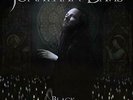 DAVIS,JONATHAN-BLACK LABYRINTH (UK IMPORT) VINYL LP NEW