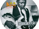 King of the Blues by B.B. King (Picutre Disc Vinyl, Nov-2018, LP) *NEW* FREE S&H