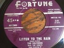 DOO WOP 45 DELTEENS Fortune 541 LISTEN TO THE RAIN / (WHY DON'T YOU) LOVE ME