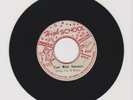 HIGH SCHOOL/ FEEL NICE VERSION - BONGO HERMAN & BONGO LES (73 REGGAE ROOTS 7