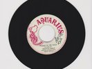 AQUARIUS/ REGGAE IN THE FIELDS - AGUSTUS PABLO (71 REGGAE INSTRUMENTAL 7