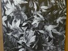 BARK PSYCHOSIS All Different Things / By-Blow 12