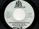 MODERN SOUL-SHIRLEY/SHIRELLES-NEVER GIVE YOU UP/GO AWAY AND FND YOURSELF-BELL