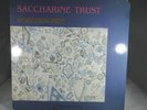 Saccharine Trust ?– Worldbroken LP  1985 SST 046  VG+ cover VG+  SC
