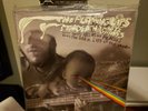 Flaming Lips Dark Side of the Moon Brand New VINYL RECORD Sealed Free Shipping