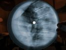 Van Morrison Into The Mystic X Ray USSR Vinyl Record Music on Bones Roentgen