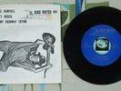 Jessie Mae Hemphill 45 s PS Jessie's Boogie 1980 Blues