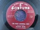 NATHANIEL MAYER I Had a Dream FORTUNE 554 45 R&B SOUL 1963