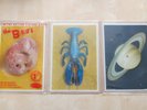 THE B-52's Rock Lobster UK 3 x shaped picture disc set in wallet Island 1986