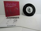 The Gerogerigegege / Bastard Noise 7