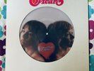 Heart Dreamboat Annie Picture Disc Vinyl Record LP Mushroom Records 1st Edition