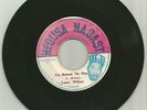 LEROY WILLACY / FAR BEYOND THE BLUE / BIG YOUTH / THINGS IN THE LIGHT / 7''/VG-