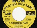Cherokees MGM - A Wondrous Place   Garage Rock