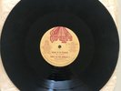 PAPA T & THE SERIOUS 3 - diane is in demand/roxanne’s papa - SINGH - RAP 12” VG+