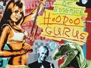 Hoodoo Gurus - Purity Of Essence [New Vinyl LP]
