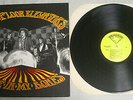 13th FLOOR ELEVATORS Fire In My Bones ROKY ERICKSON LIVE & UNRELEASED TRACKS LP
