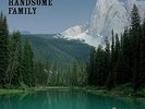 Handsome Family - Through The Trees (20th Anniversary Edi (Vinyl Used Very Good)