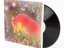 Meat Puppets - 2 760137532613 (Vinyl Used Very Good)