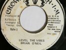 BRIAN O'NEIL - LEVEL THE VIBES //VERSION [ CROWN H I M 7