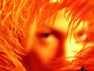 Stone Temple Pilots-Shangri La Dee Da (UK IMPORT) Vinyl / 12