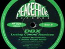 DBX ?– Losing Control (Remixes)