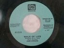 DIRE STRAITS Walk of Life RARE PRIVATE PROMO 7
