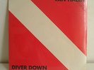 VAN HALEN Diver down LP Italy MINT