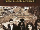 The Black Crowes - Southern Harmony 2 x LP 180 GRAM VINYL ALBUM - SEALED RECORD