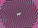DEERHUNTER: CRYPTOGRAMS / FLOURESCENT GREY (LP vinyl *BRAND NEW*.)
