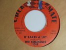 THE SEMINOLES it Takes A Lot CHECK MATE Northern Soul 45 HEAR
