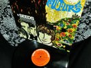 1967 Orig THE SEEDS   
