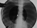 Ray Charles - New York's My Home X-RAY USSR ROENTGEN Bones Records
