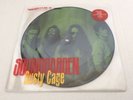 Soundgarden rusty cage 7” picture disc vinyl