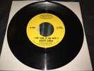 Nancy Ames - I Don’t Want To Talk About It/Cry Softly 1966 Soul 45 NM