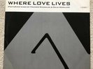 Alison Limerick? Where Love Lives 12