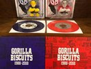 Gorilla Biscuits 30th Anniversary 7