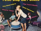 VARIOUS ARTISTS Twist Slop Surf Shake LP